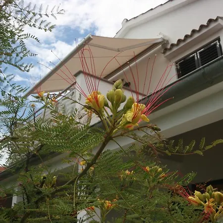 Apartment Luisa Porec Exterior photo